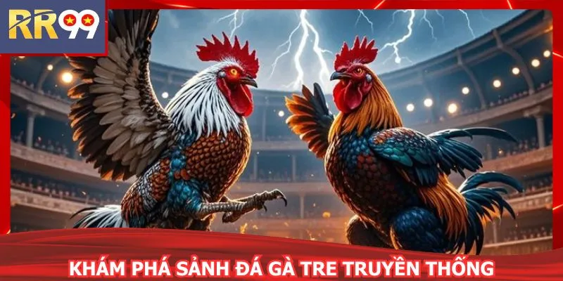 Khám phá sảnh đá gà tre truyền thống